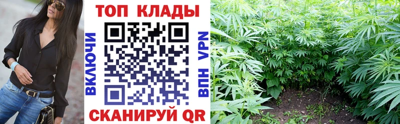 Где продают наркотики Иннополис NBOMe  Альфа ПВП  Мефедрон  Кокаин 