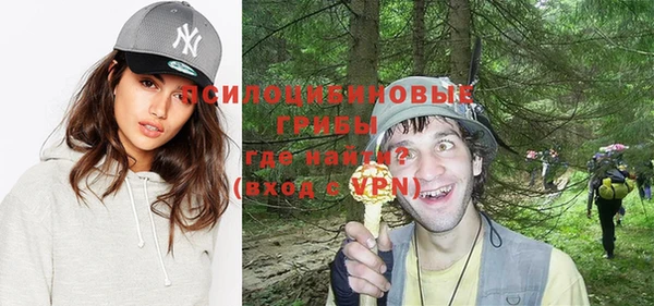 ешки Навашино