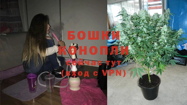 сатива Надым