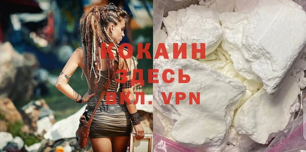 сатива Надым