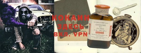 сатива Надым