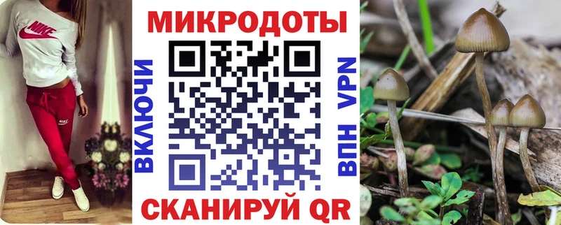 гидра зеркало  Иннополис  Галлюциногенные грибы GOLDEN TEACHER 
